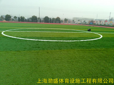 人造草 篮球场 足球场 幼儿园彩色地面 足球场草